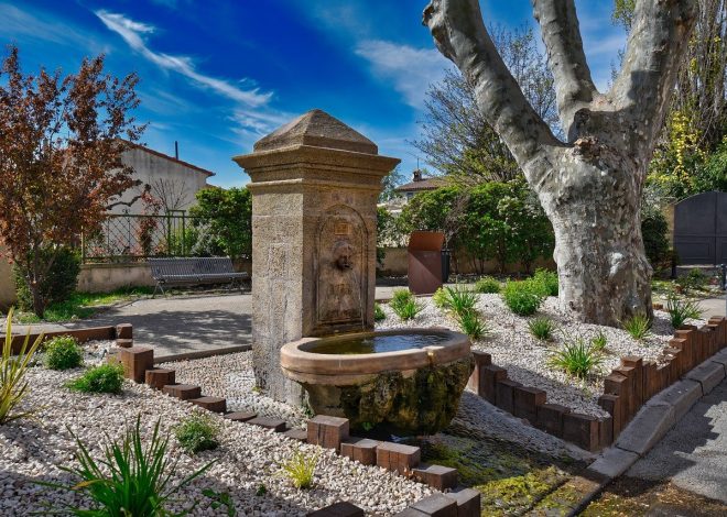 Aménagement extérieur : conseils pratiques pour sublimer votre jardin