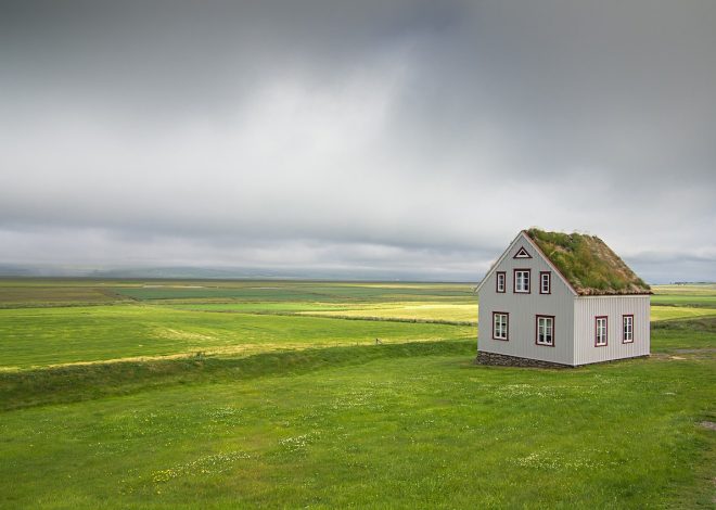 Maison en bois : avantages et inconvénients du choix écologique