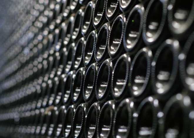 Tout savoir sur la cave à vin : guide d&rsquo;achat et conseils d&rsquo;utilisation