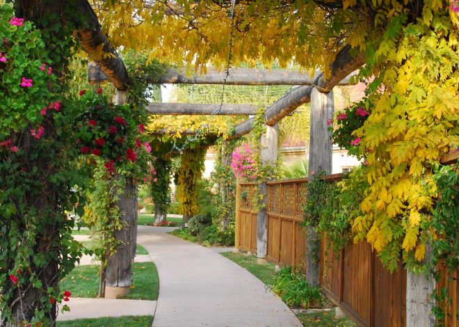 Tout savoir sur la pergola : avantages, types et entretien