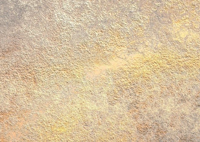 Plâtrerie : tout savoir sur les techniques et matériaux