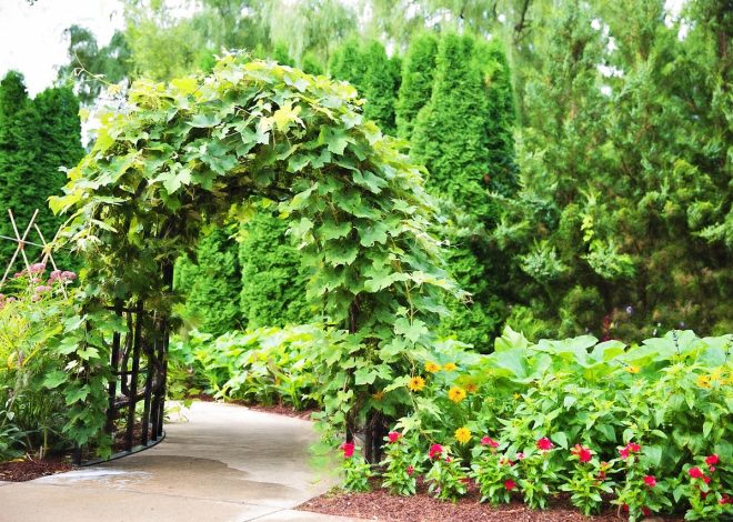 Les avantages d&rsquo;une pergola bioclimatique pour votre jardin