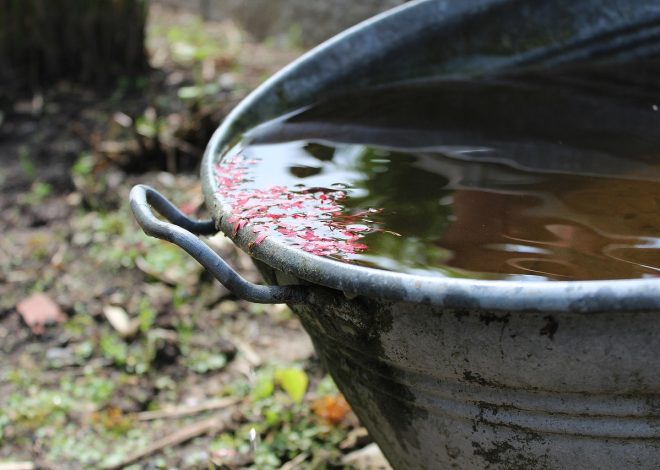 Récupérateur d&rsquo;eau de pluie : un atout pour l&rsquo;économie et l&rsquo;environnement