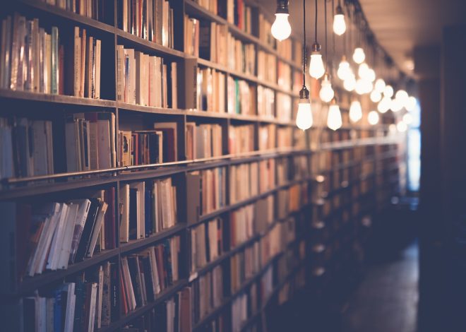 La bibliothèque : un espace propice à la découverte et à l&rsquo;apprentissage