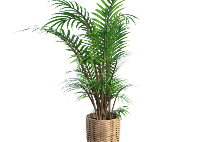 Tout savoir sur les vases : histoire, types et astuces de décoration