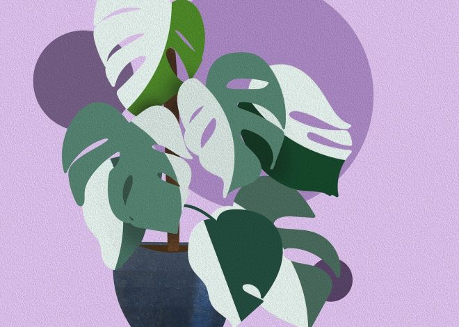 Guide pratique pour adopter le style bohème dans votre décoration intérieure