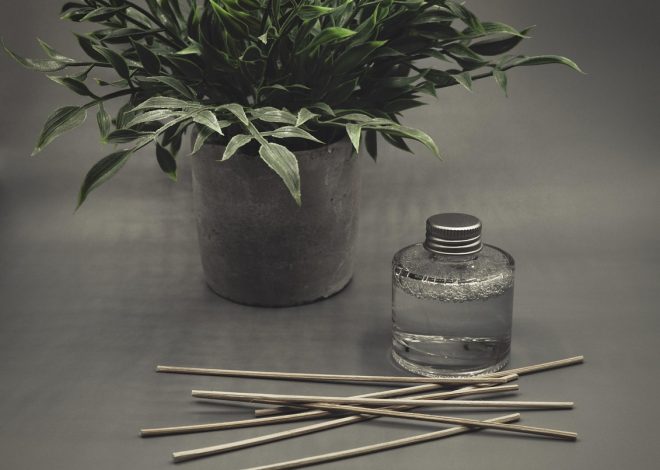 Comprendre les avantages d&rsquo;un diffuseur de parfum pour votre intérieur