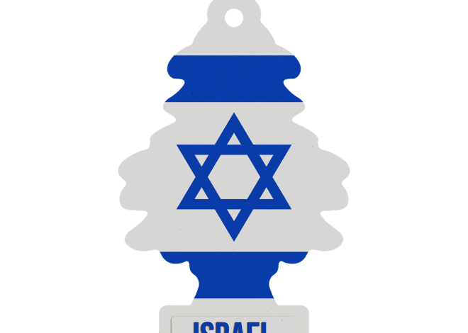 Désodorisant naturel : des solutions simples et efficaces pour un intérieur frais