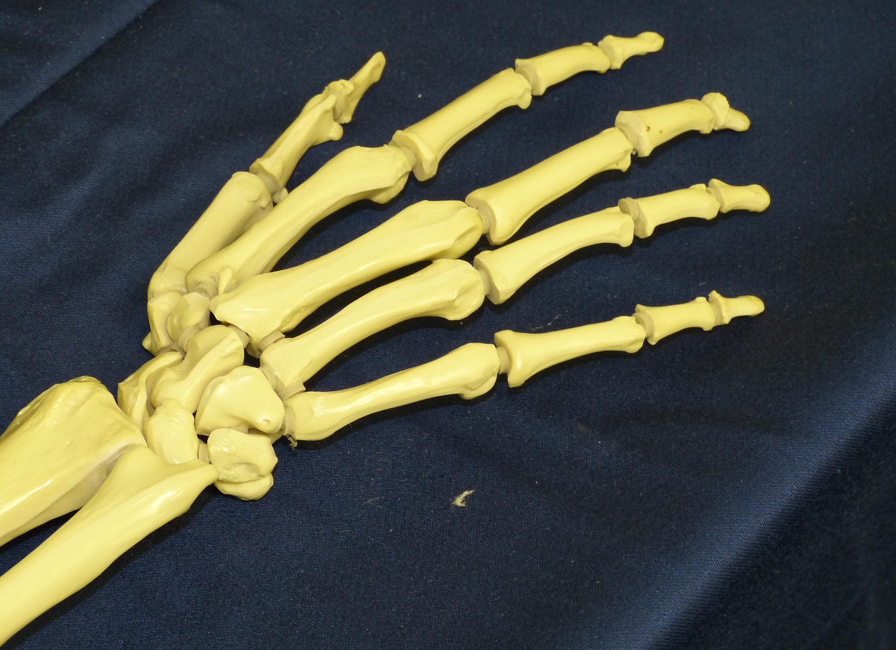 Les différents types de joints et leur utilisation