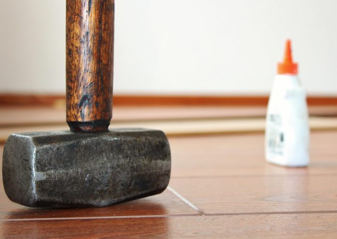 Tout savoir sur les colles : types, usages et conseils