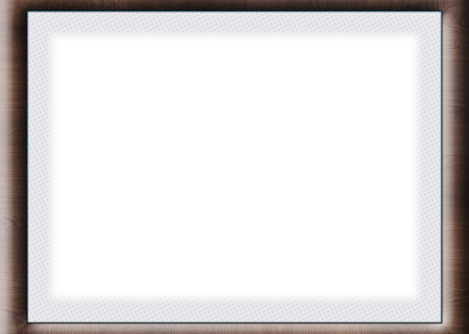 ossature bois pour un habitat écologique et durable