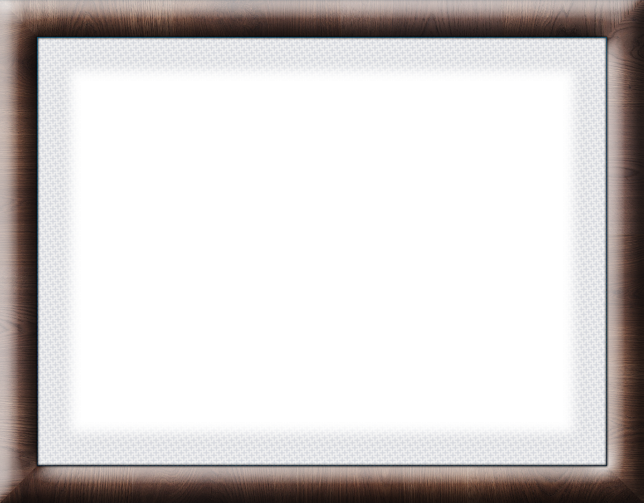 ossature bois pour un habitat écologique et durable