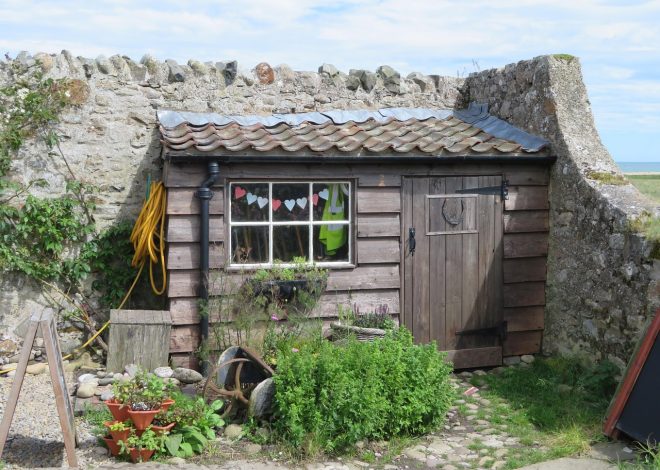 Abri de jardin : optimiser votre espace extérieur en 2026