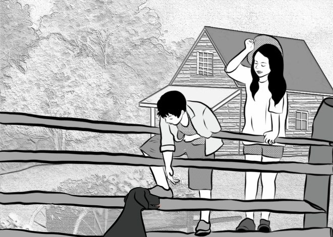 Clôture jardin : choisir le bon matériau pour délimiter votre espace