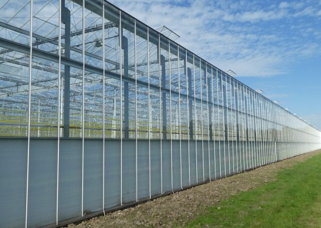 Jardin paysager pour transformer votre extérieur en un havre de paix