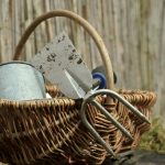 découvrez les différentes utilisations de la binette de jardin pour entretenir vos espaces verts efficacement, du désherbage à l'aération du sol.