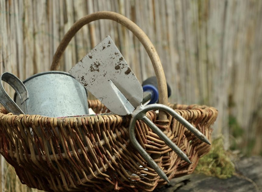 Les différentes utilisations de la pioche dans le jardinage