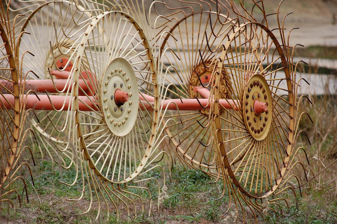 découvrez tout sur le râteau : types, utilisations et conseils pour choisir l'outil de jardinage idéal.