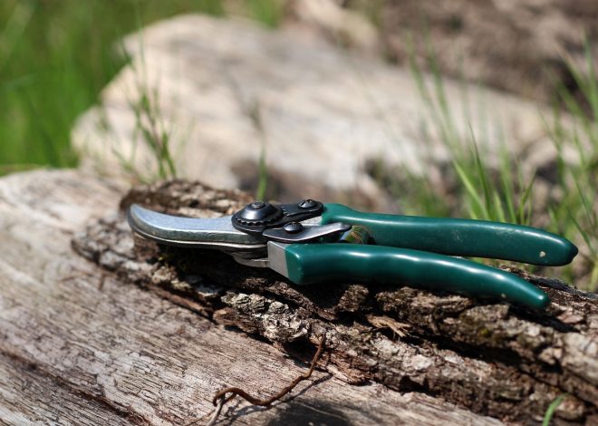 Cisaille : un outil essentiel pour le jardinier