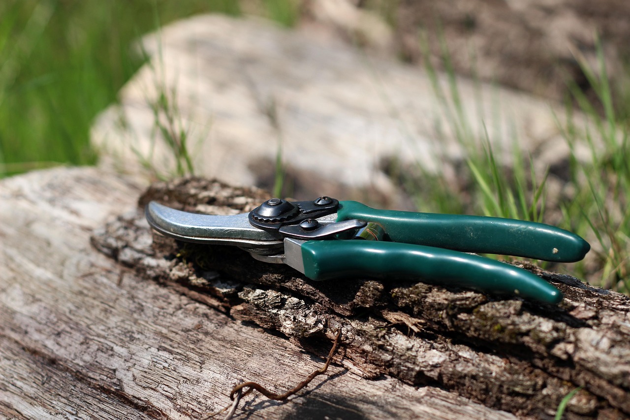 Cisaille : un outil essentiel pour le jardinier