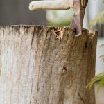 découvrez tout ce qu'il faut savoir sur la houe : outils, utilisations et conseils pour un jardinage efficace.