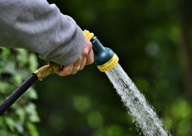 L&rsquo;arrosoir : un outil essentiel pour le jardinage