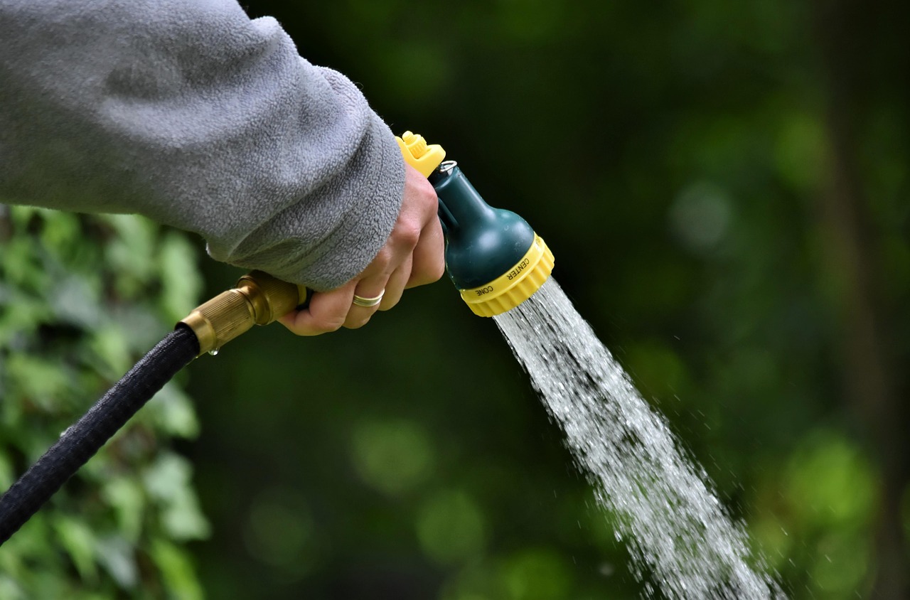 L&rsquo;arrosoir : un outil essentiel pour le jardinage
