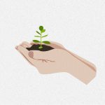 découvrez notre planteur de graines, l'outil idéal pour semer efficacement et uniformément dans votre jardin ou champs. facile à utiliser et performant, il garantit une plantation précise pour une meilleure croissance de vos cultures.