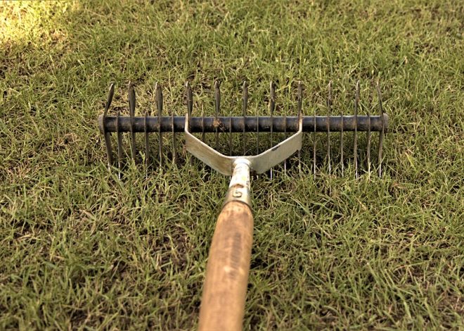 Tout savoir sur le scarificateur : avantages et conseils d&rsquo;utilisation