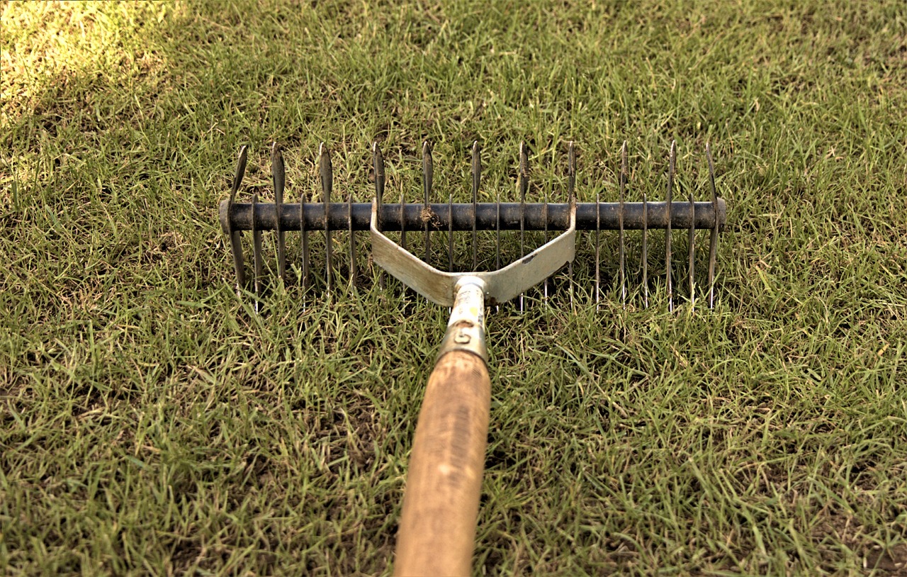 Tout savoir sur le scarificateur : avantages et conseils d&rsquo;utilisation