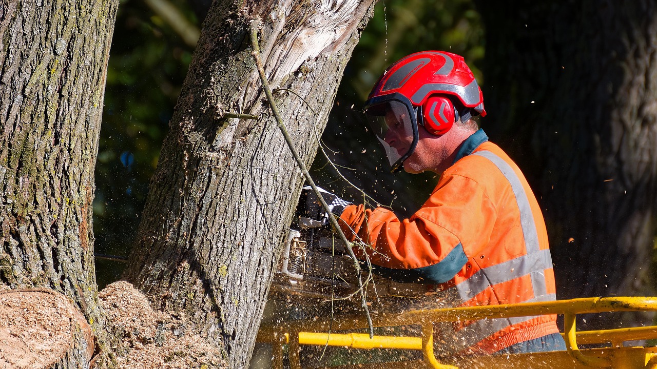 découvrez notre sélection de tronçonneuses performantes et fiables, idéales pour tous vos travaux de découpe de bois, que vous soyez professionnel ou amateur.