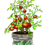 découvrez notre composteur de jardin pratique et écologique, idéal pour transformer vos déchets organiques en compost riche et naturel pour nourrir vos plantes.