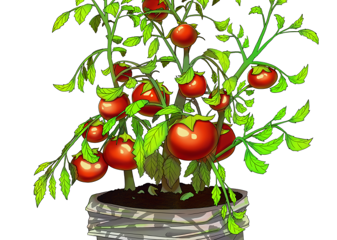 Comment choisir le bon composteur de jardin pour optimiser votre compost
